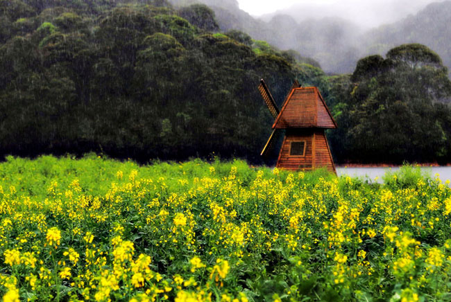 佛山中；峋傩写踊湃讼裆阌安煞缭硕