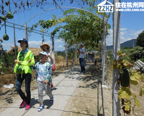 杭州凯发k8·西溪华府业主游乐桃园 感恩周年甜蜜一夏